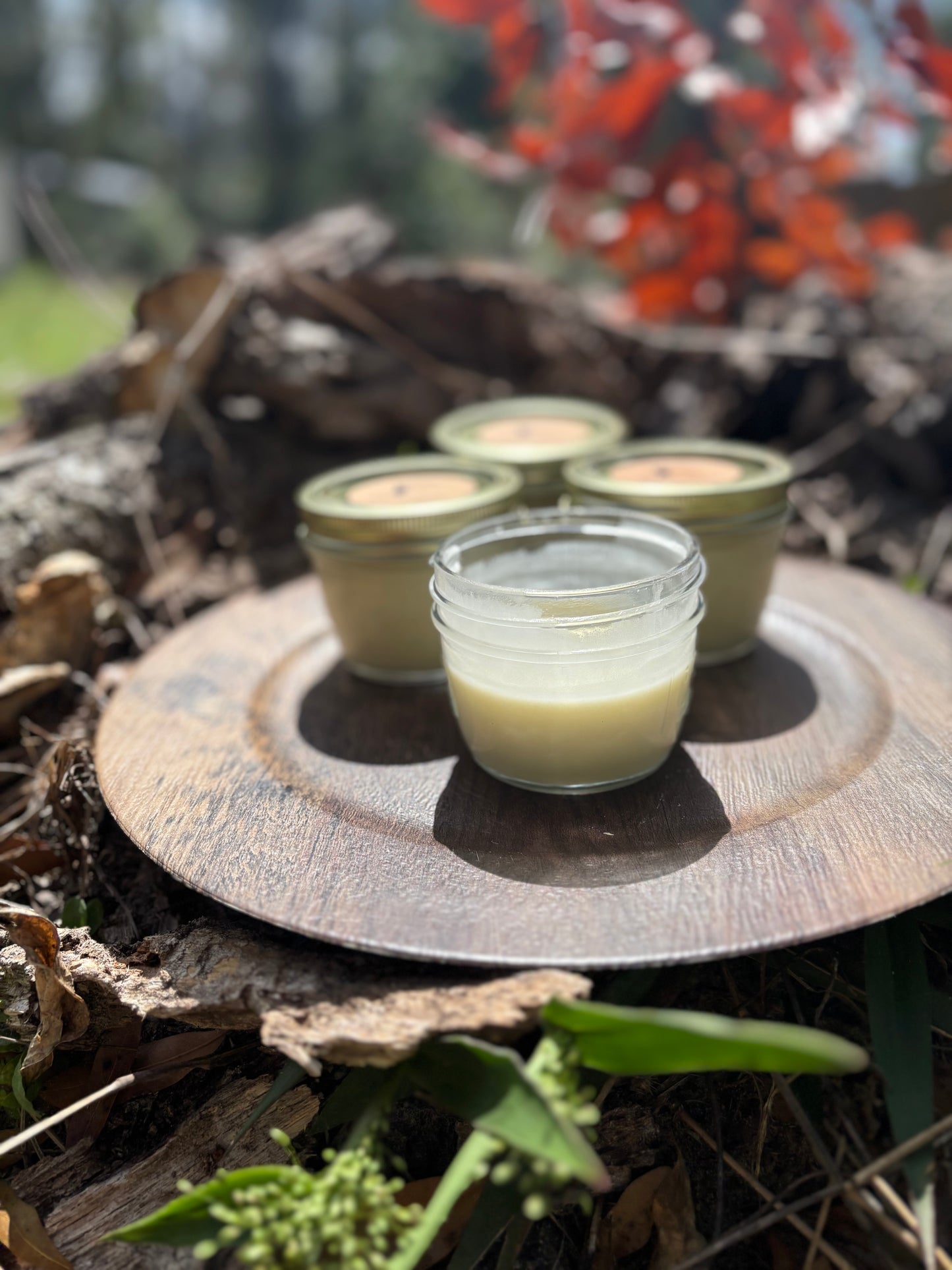 Coconut Deodorant - Large