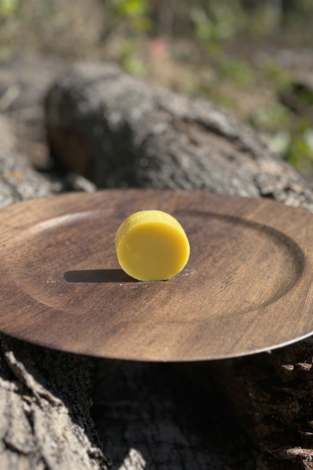 Hair Conditioner Bars